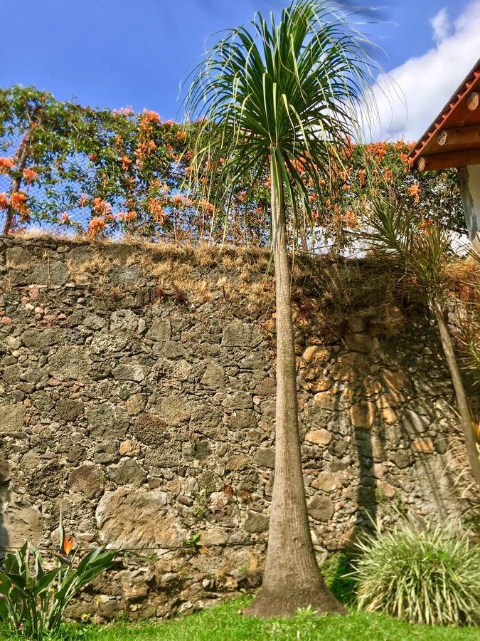 Posada Nican Mo Calli Tepoztlán Exterior foto